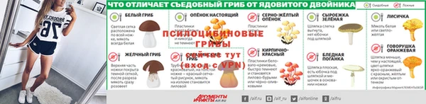 мескалин Инта