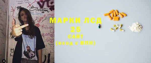 стаф Алзамай