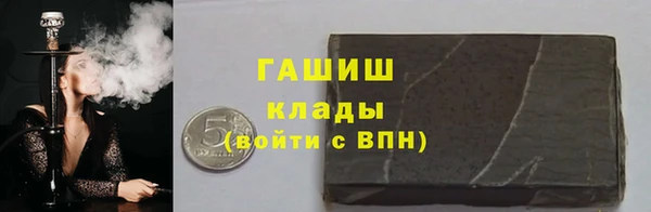 стаф Алзамай