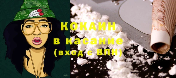 стаф Алзамай